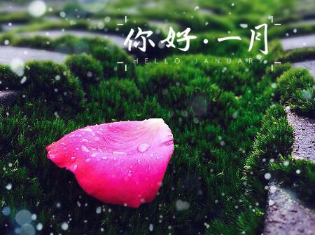 2018年属鼠人的全年运势看看属鼠人2018年运势运程如何