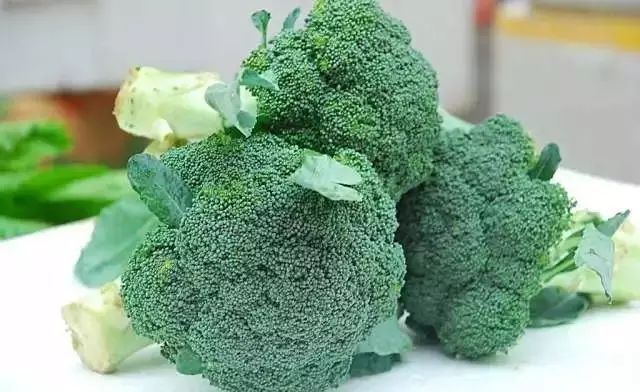 西兰花适合安徽种植吗,阳台种西兰花正确方法