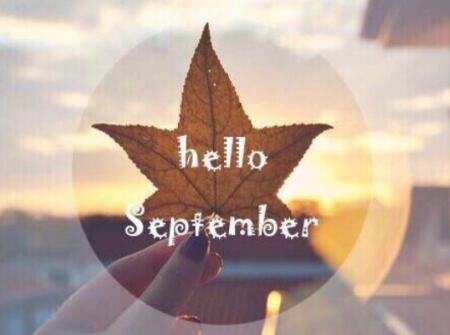 2018年属牛人的全年运势属牛人2018年一整年运势运程如何