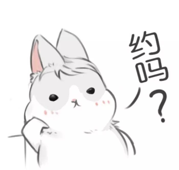 花海相亲会,毕节相亲活动是哪天