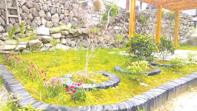 奋斗在希望的田野上图片,奋斗在希望的田野