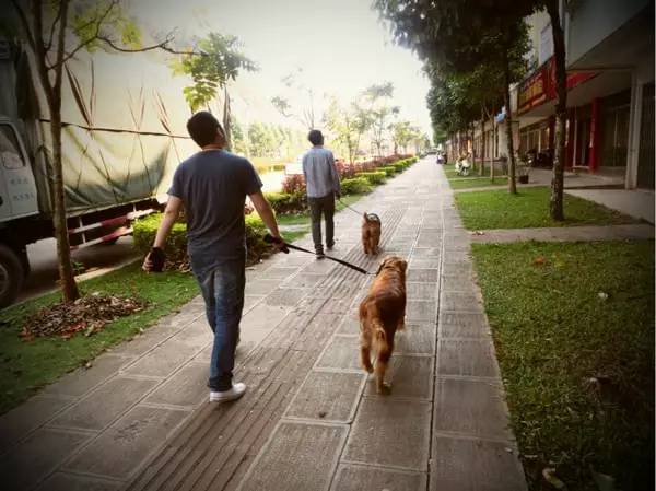 清迈拜县自驾旅游攻略最新,泰国到清迈自驾游最佳路线