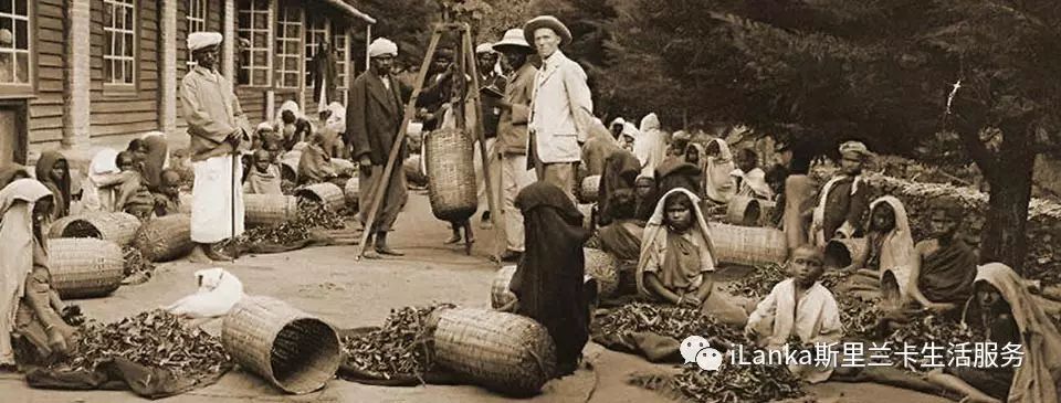 斯里兰卡古代历史,斯里兰卡历史文化