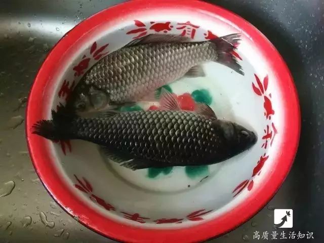 千万不要用菜刀刮鱼鳞了！用这招30秒快速去除，不伤手，赶紧学起来！