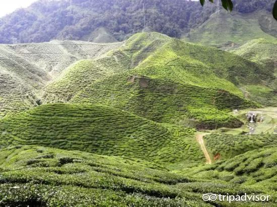 除了吉隆坡，13个马来西亚必去目的地，每个都值得一去！