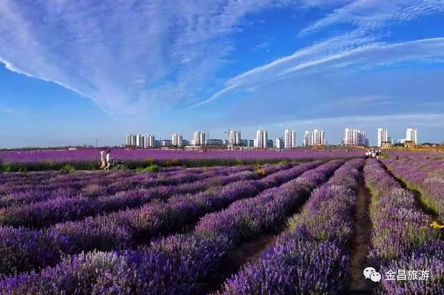 去金昌玩要注意什么,去金昌旅游需要带什么