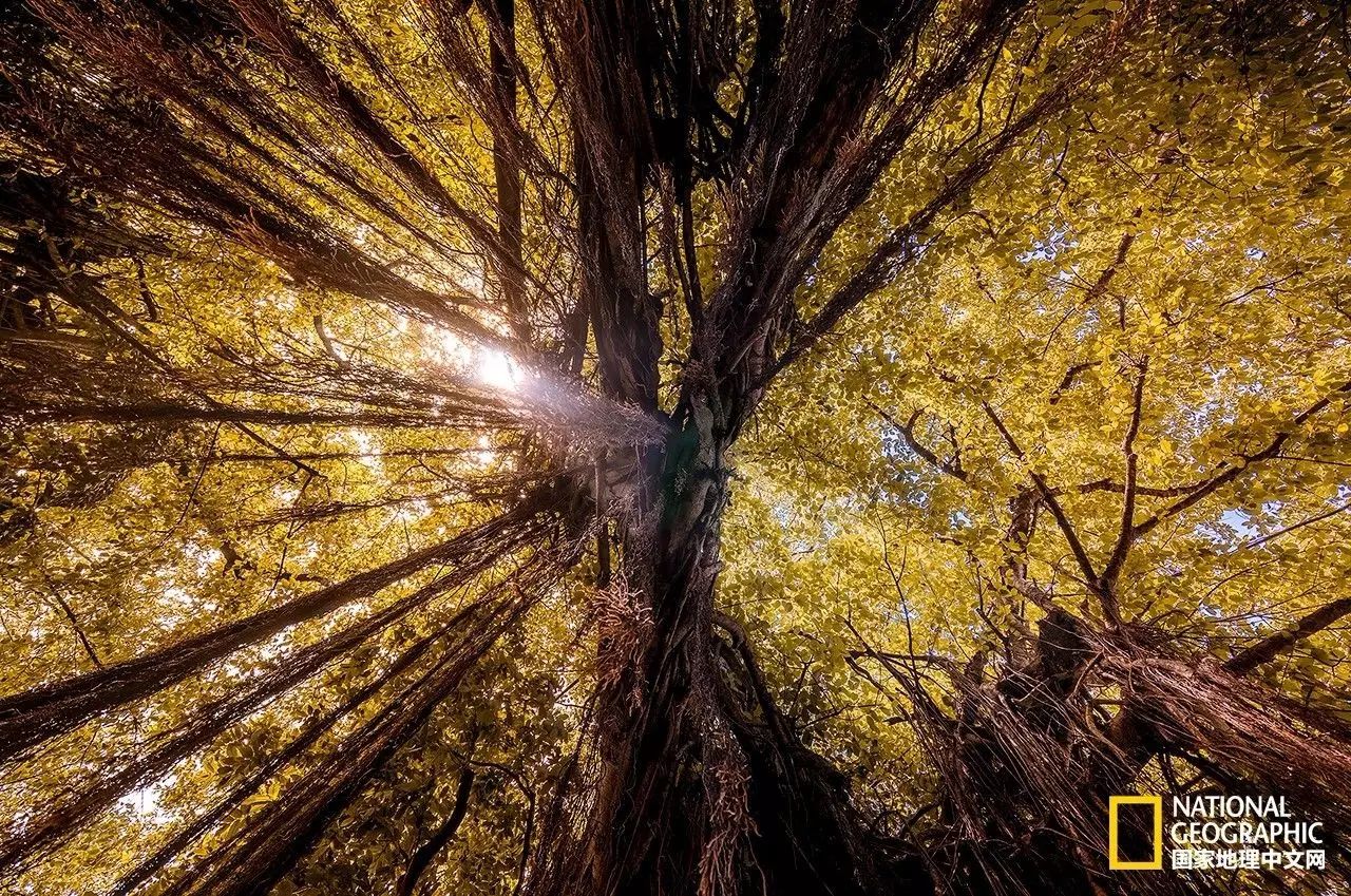 库克群岛的风光,走进库克群岛