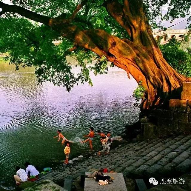 广西地质公园,广西世界地质公园