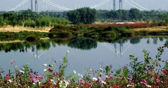 北京最好的草原湿地公园,北京的湿地公园都有哪些