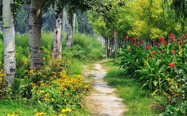 北京最好的草原湿地公园,北京的湿地公园都有哪些