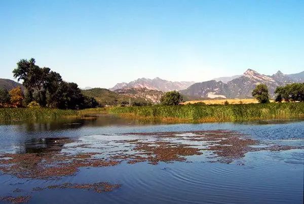 北京最好的草原湿地公园,北京的湿地公园都有哪些