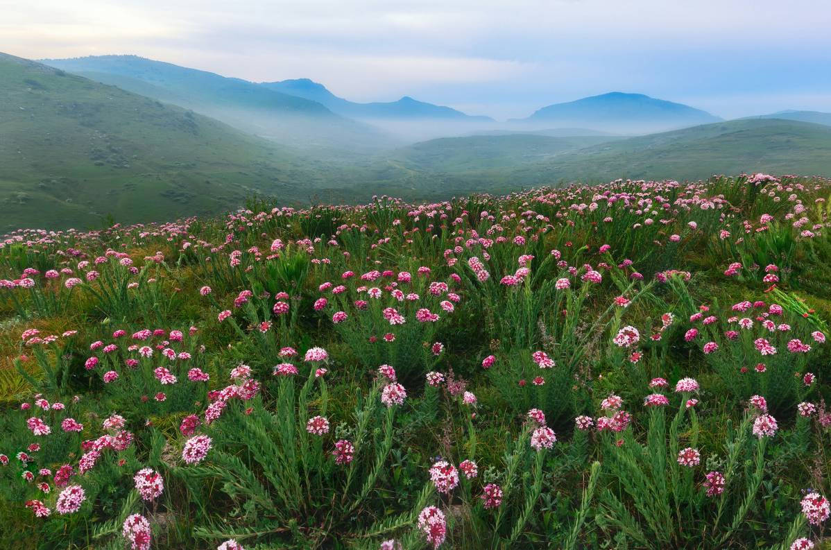 小县城的风景有多惊艳,小县城的风景不输大城市