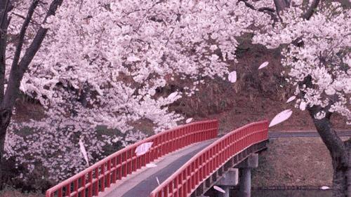 秋分你打算怎么过,秋分我们需要准备做什么