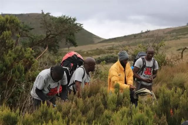 BLACKYAK牛人牛队｜登顶“非洲之巅”