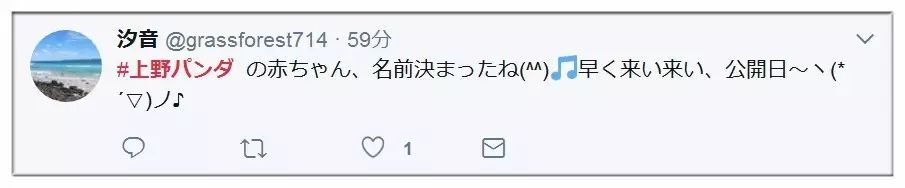 熊猫宝宝起名字是怎么由来的,2021年所有熊猫宝宝名字