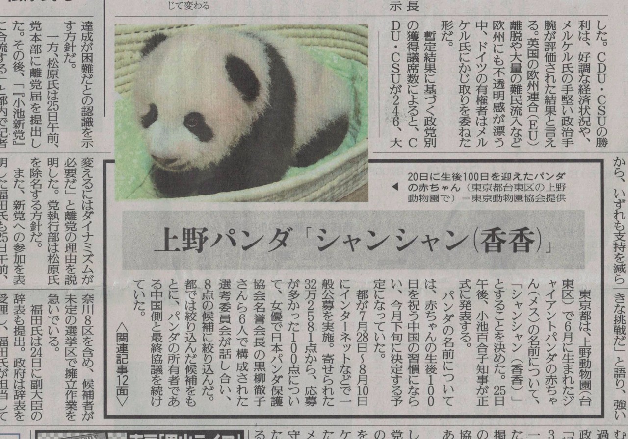 熊猫宝宝起名字是怎么由来的,2021年所有熊猫宝宝名字