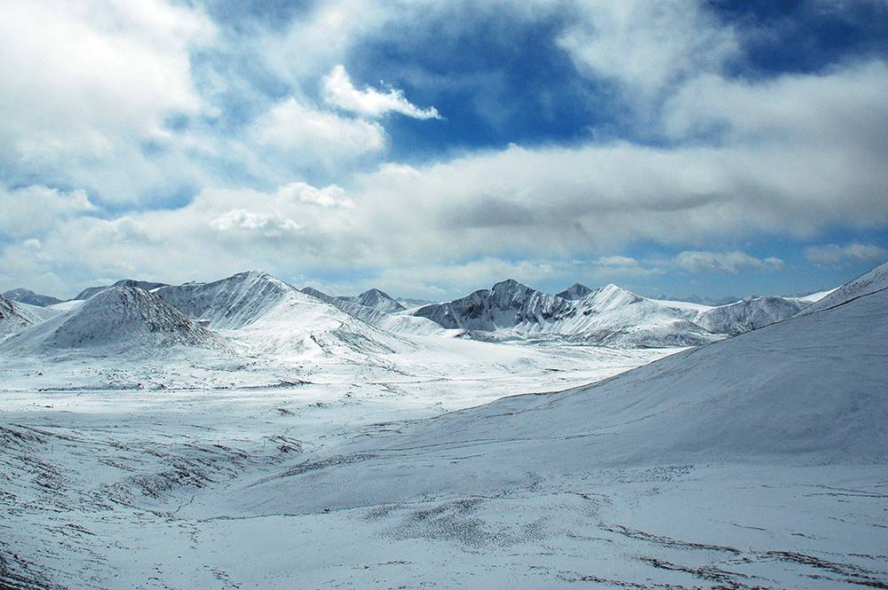 牙叔粤语版,牙叔