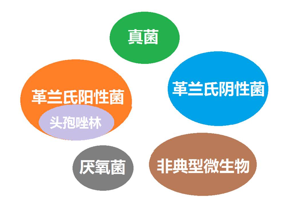 看图“话”抗菌谱，赶紧收藏！