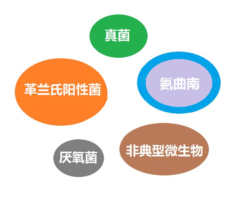 看图“话”抗菌谱，赶紧收藏！