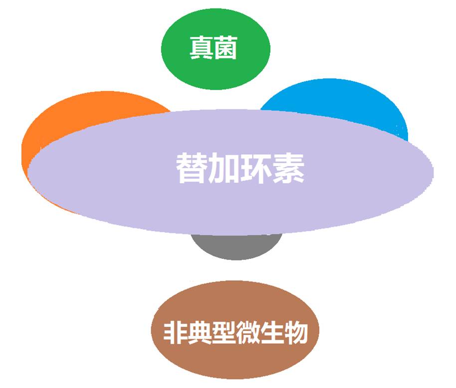 看图“话”抗菌谱，赶紧收藏！