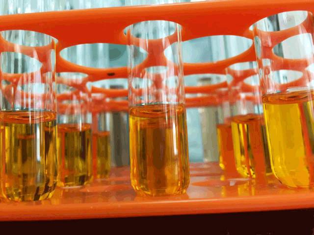 南工最美风采,南工大实力如何