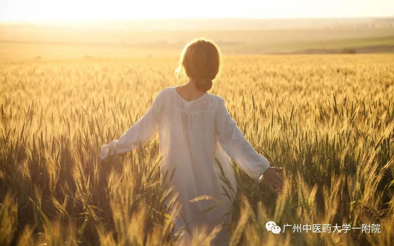 涓尰鐣呭惉,鐣呭惉璇剧▼