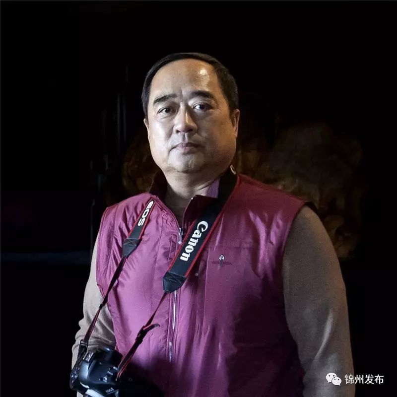 锦州摄影拍鸟,锦州鸟类摄影人