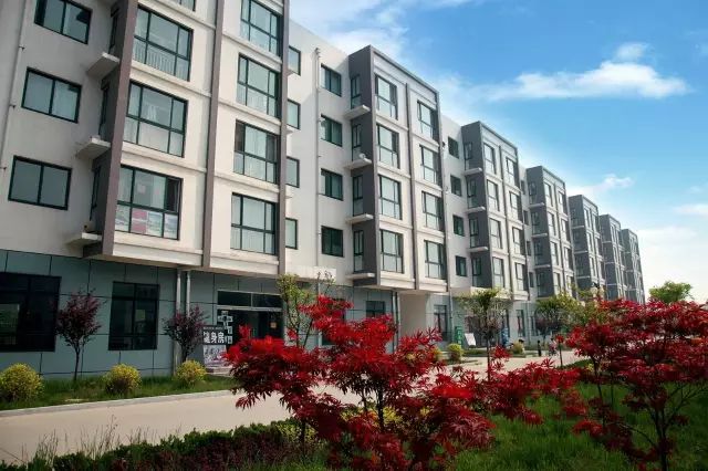 为什么一定要上大学,青岛科技大学给你答案!