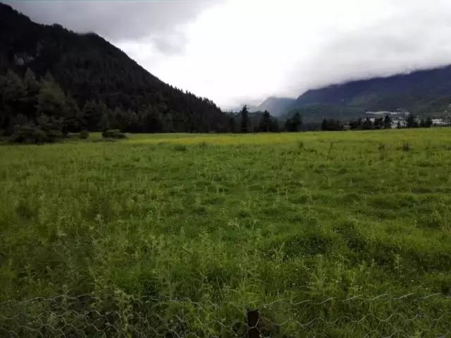 我在日喀则,我在日喀则简谱