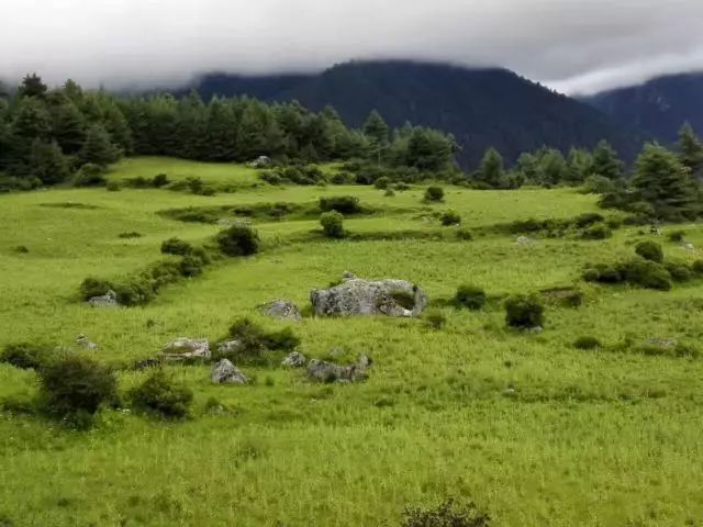 我在日喀则,我在日喀则简谱