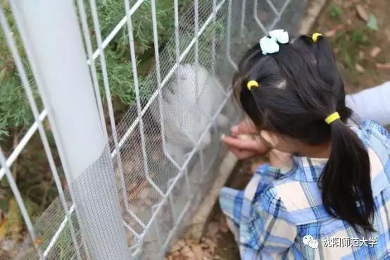 我发现你最近变化很大,3月新规来了这些变化你要知道