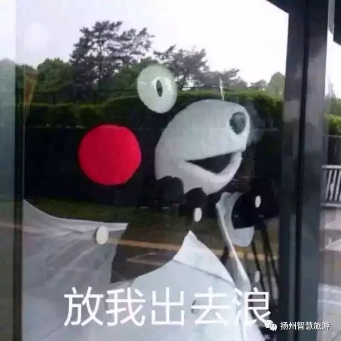 无锡被蓝天白云刷屏,扬州蓝天白云