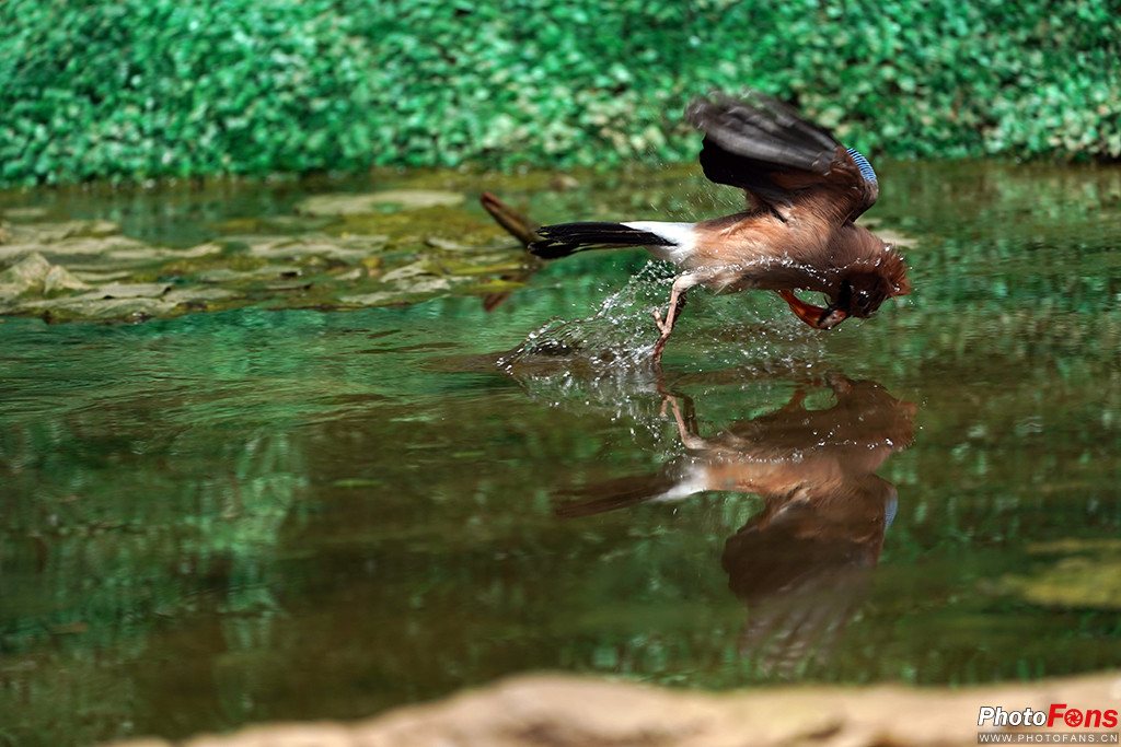 索尼g大师16-35镜头怎么样,索尼sel100400gm