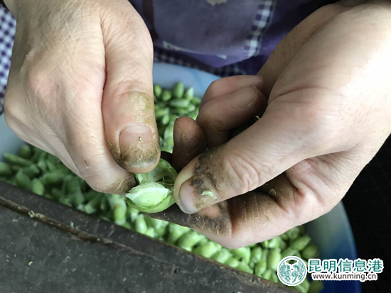 留守妇女的手工加工厂,乡镇大量留守妇女要做什么工作