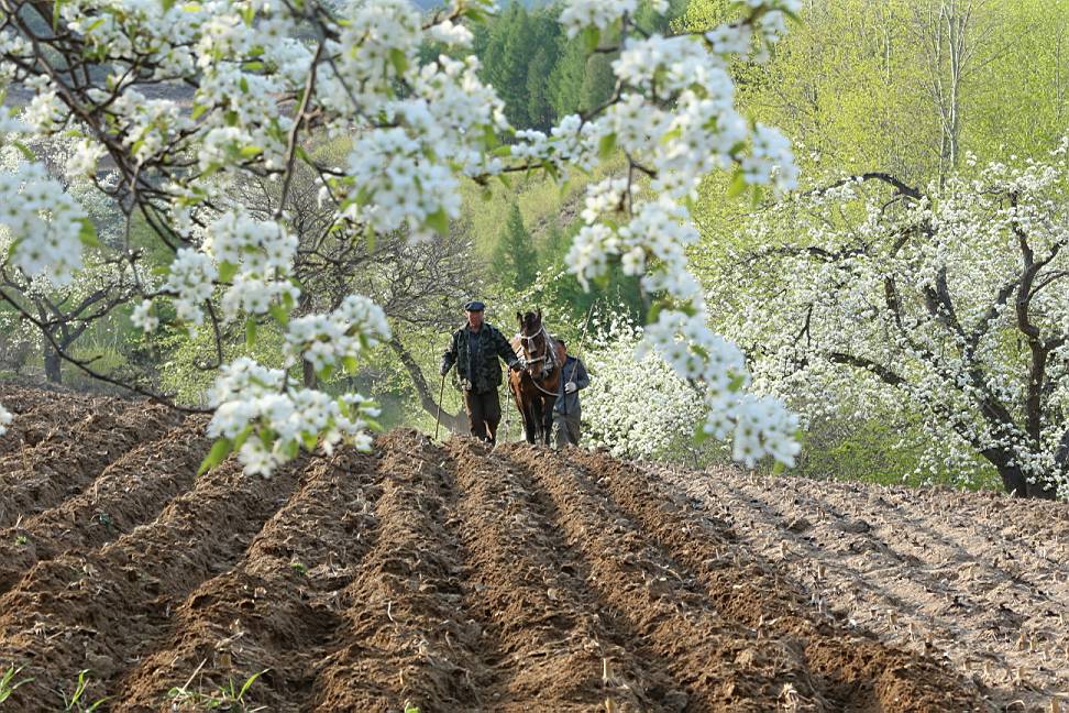 听说翻山越岭才能见到你,听说看懂了就能成功
