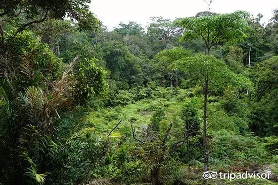 除了吉隆坡，13个马来西亚必去目的地，每个都值得一去！