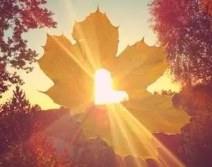 仪陇县检察院张晓琴,美文欣赏生活篇