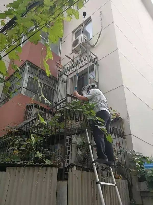 绔嬭绔嬫敼鏁存敼宸ヤ綔鏂规,绔嬭鏁存敼閫氱煡