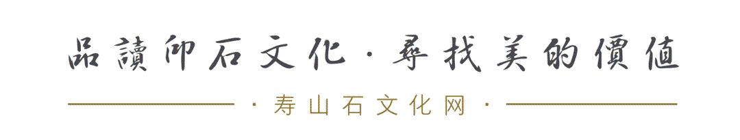 法象威仪｜东南网拍·第七期