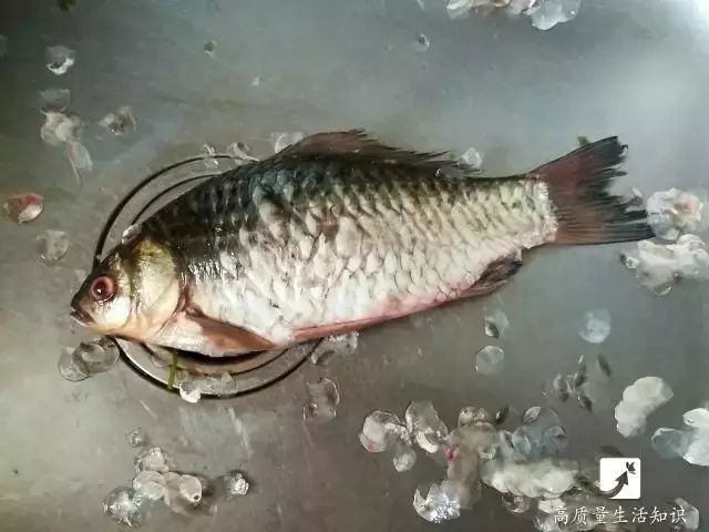 千万不要用菜刀刮鱼鳞了！用这招30秒快速去除，不伤手，赶紧学起来！