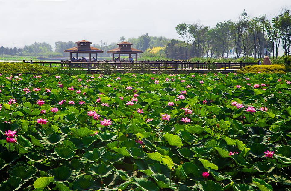 听说翻山越岭才能见到你,听说看懂了就能成功