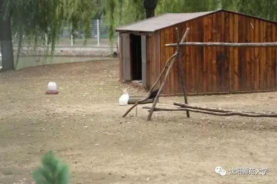 我发现你最近变化很大,3月新规来了这些变化你要知道