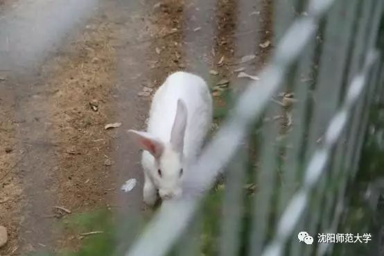 我发现你最近变化很大,3月新规来了这些变化你要知道