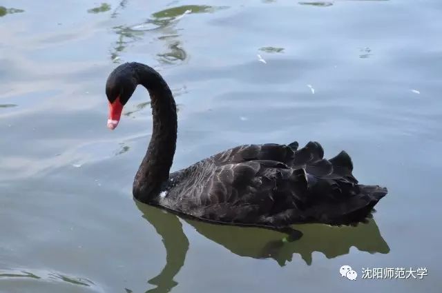 我发现你最近变化很大,3月新规来了这些变化你要知道