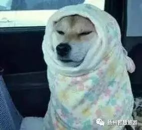 无锡被蓝天白云刷屏,扬州蓝天白云