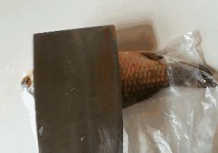 千万不要用菜刀刮鱼鳞了！用这招30秒快速去除，不伤手，赶紧学起来！