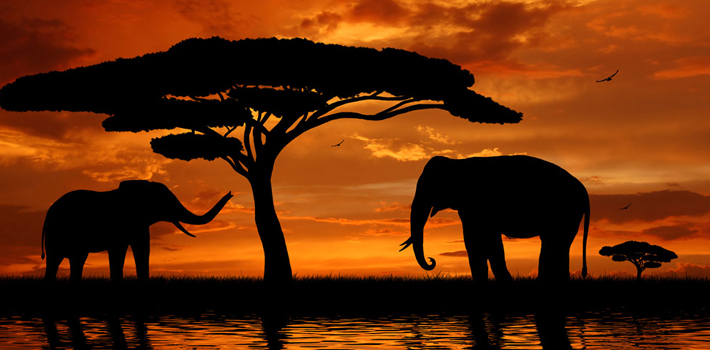 我在非洲做建材生意，毛利最高100%