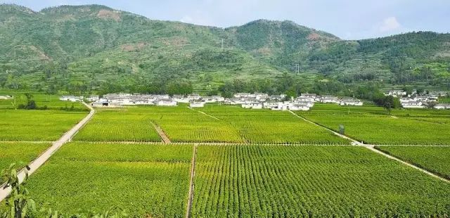 故乡神韵｜古城会理，冬暖夏凉的川滇锁钥