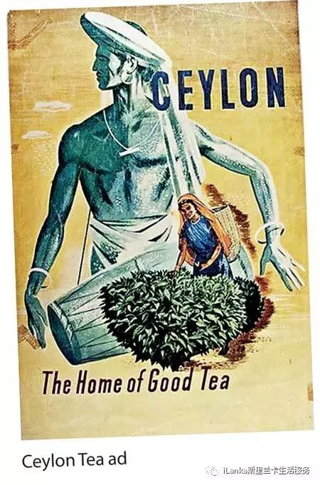 斯里兰卡古代历史,斯里兰卡历史文化