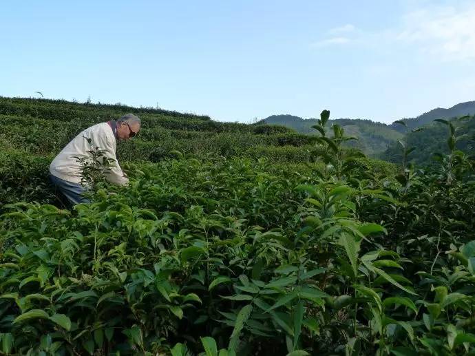 福建厦门冷知识,厦门的秘密你还知道多少